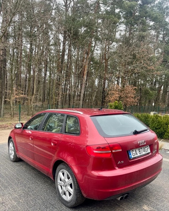 Audi A3 cena 29500 przebieg: 174000, rok produkcji 2009 z Zelów małe 29